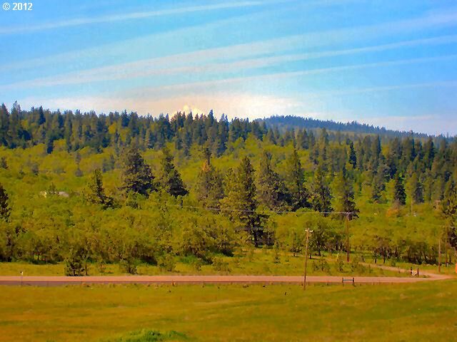 Property Photo: Seven Mile Hill Lots Rd OR 97040
