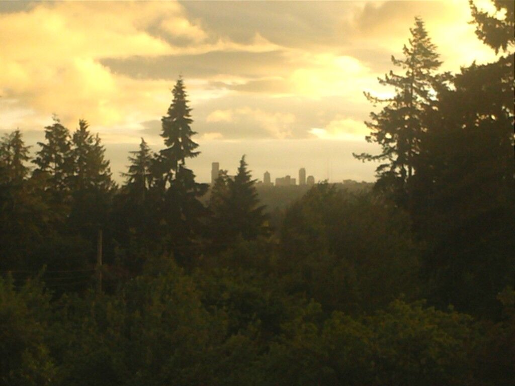 Property Photo: 2104 92nd Avenue NE WA 98004
