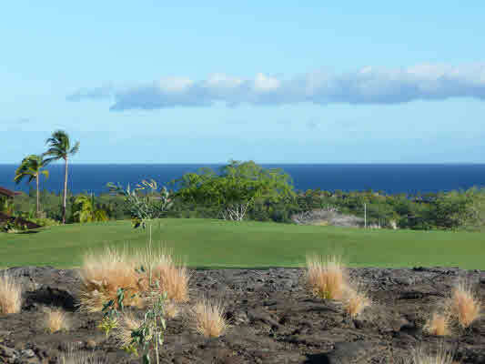 Property Photo: 72-108 Puukole St HI 96740