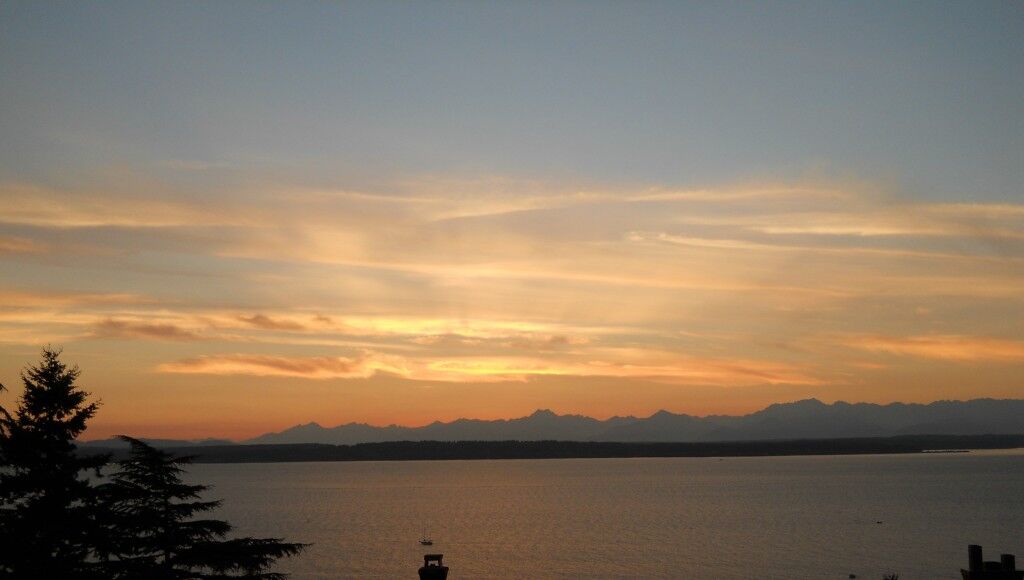 Property Photo:  7715 33rd Ave NW  WA 98117 