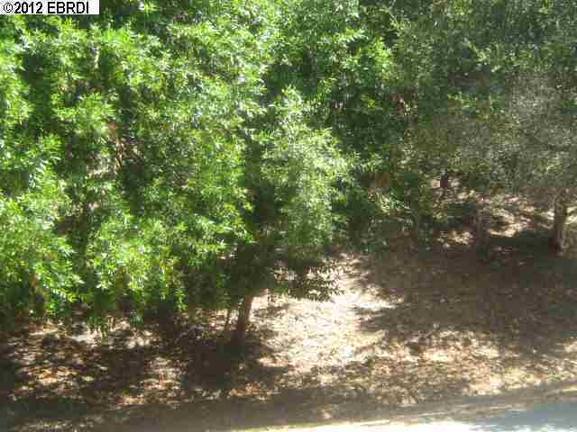 Property Photo: