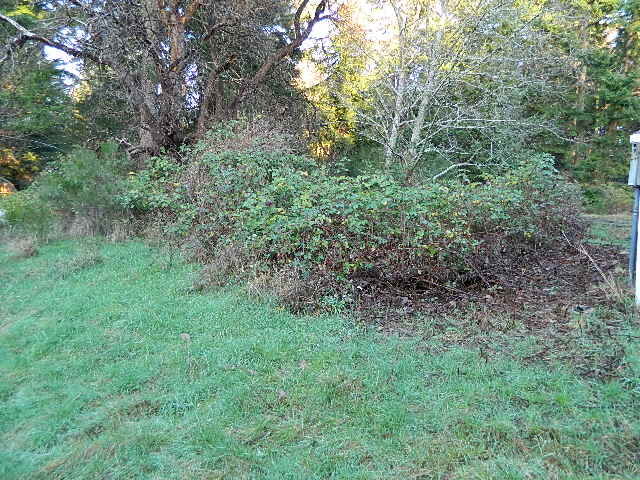 Property Photo:  17411  81st Stct  WA 98351 