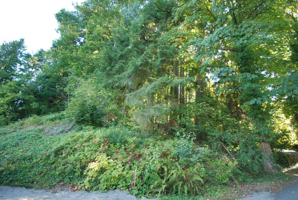 Property Photo:  42 Xx W Lake Sammamish Pkwy SE  WA 98008 