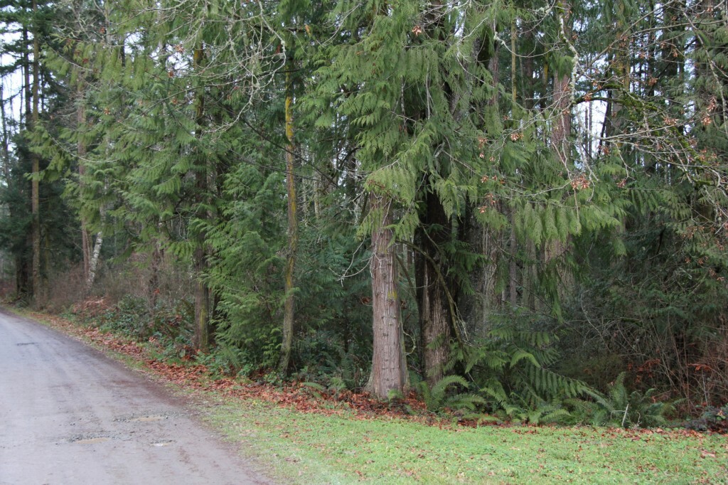 Property Photo: 0 Forest Hill Rd WA 98282