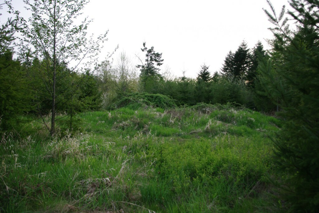 Property Photo:  0 Pine Ridge Lane  WA 98532 