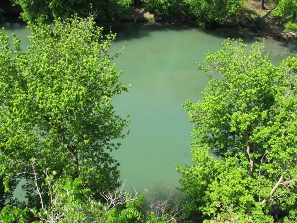 Property Photo:  130 Milagro Lane  TX 78676 