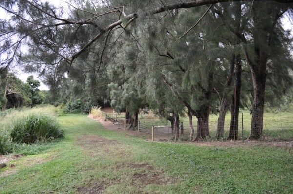 Property Photo: Kapa'Au Rd. HI 96755