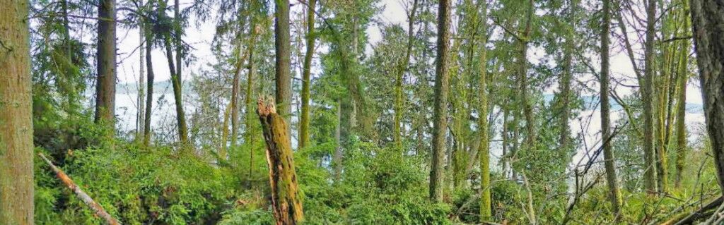 Property Photo:  1 Xx  156th Street NW  WA 98332 