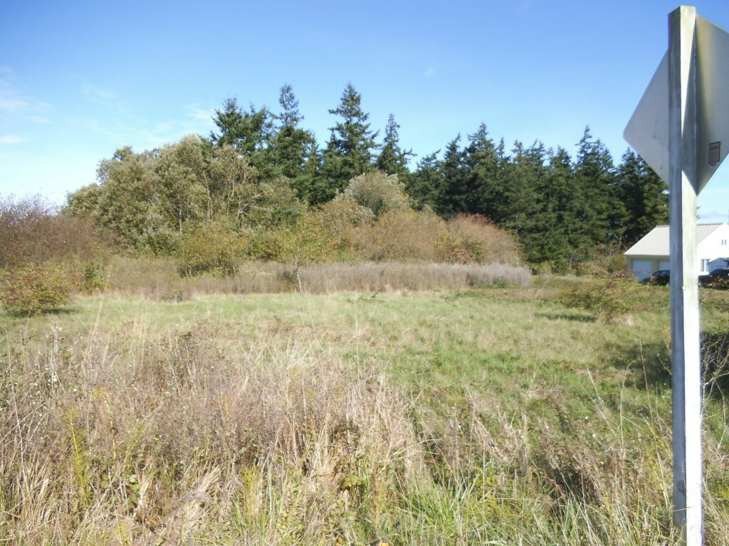 Property Photo:  1017 E Utsalady Rd  WA 98282 