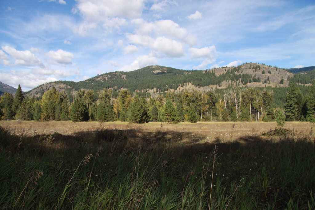 Property Photo:  Lot 6 Methow Ranch Rd  WA 98862 