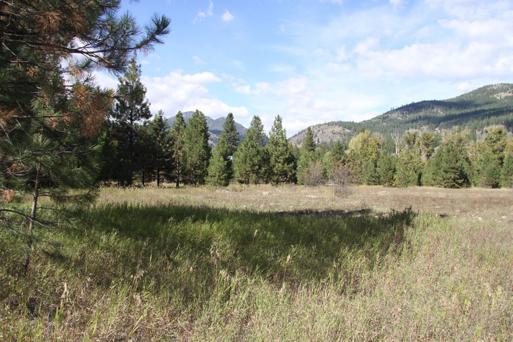 Property Photo:  Lot 7 Methow Ranch Rd  WA 98862 