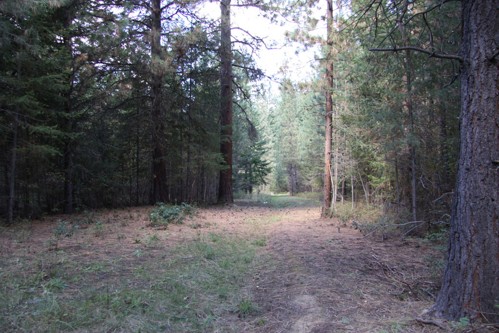 Property Photo:  0 Methow Ranch Rd  WA 98862 