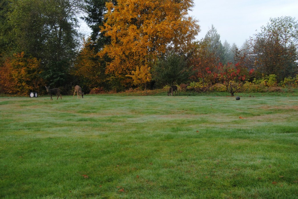 Property Photo:  421 School House Hill Rd  WA 98548 