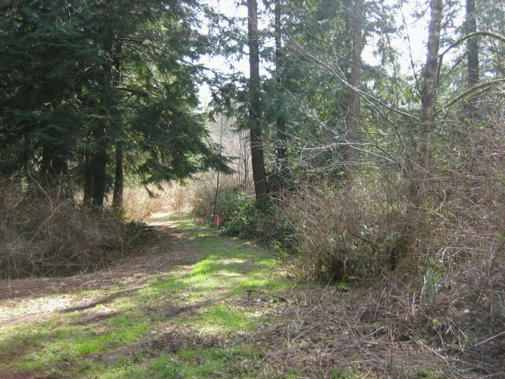 Property Photo:  13255 SE Shady Glen Ave  WA 98367 