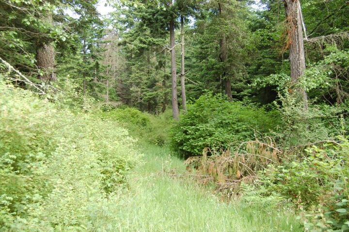 Property Photo: Xxx Wilson Rd WA 98250