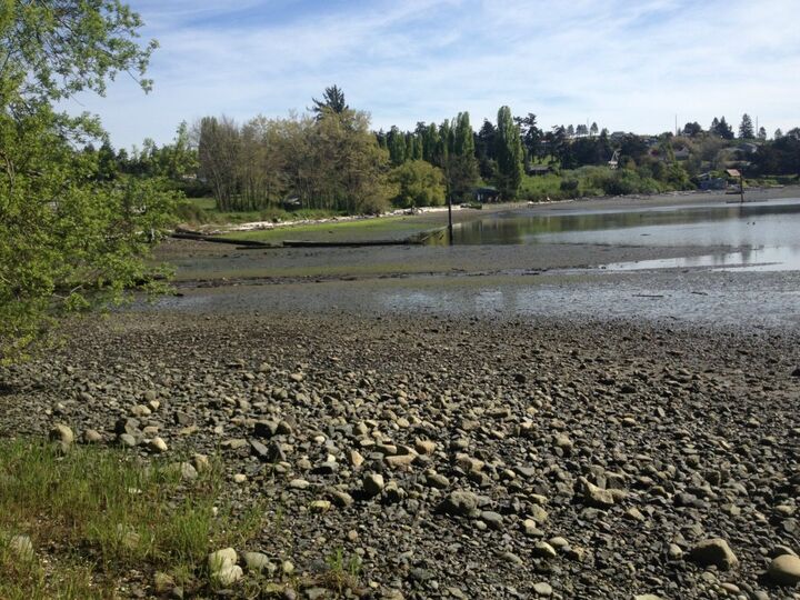 Property Photo: 0 North Bay Lane WA 98250