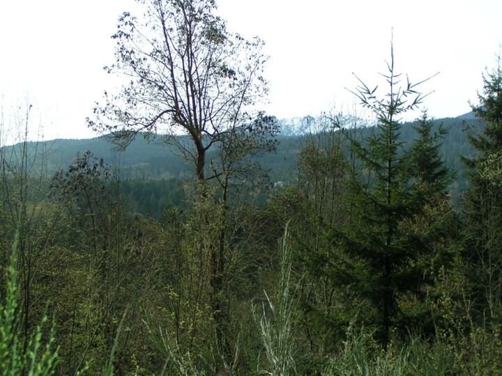 9999 Sunset Heights Dr  Port Angeles WA 98363 photo