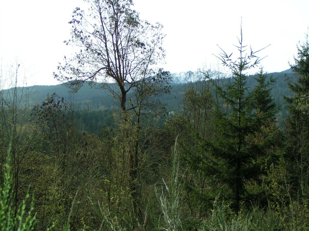 Property Photo: 9999 Sunset Heights Dr WA 98363