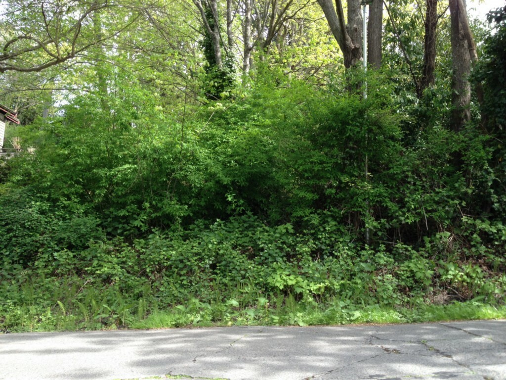 Property Photo: 98xx 47th Ave SW WA 98136