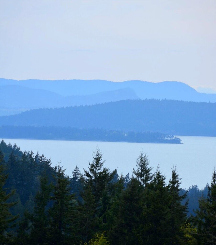 Property Photo:  4659 Raptor Lane  WA 98229 