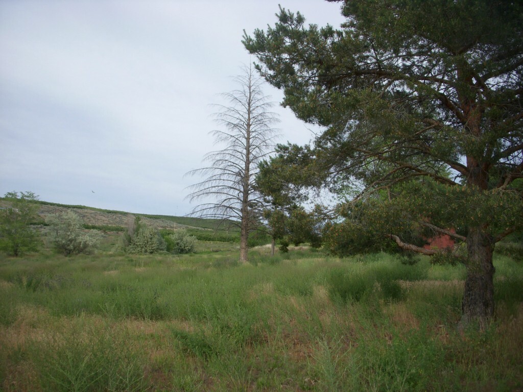 Property Photo:  46 Unger Rd  WA 98812 