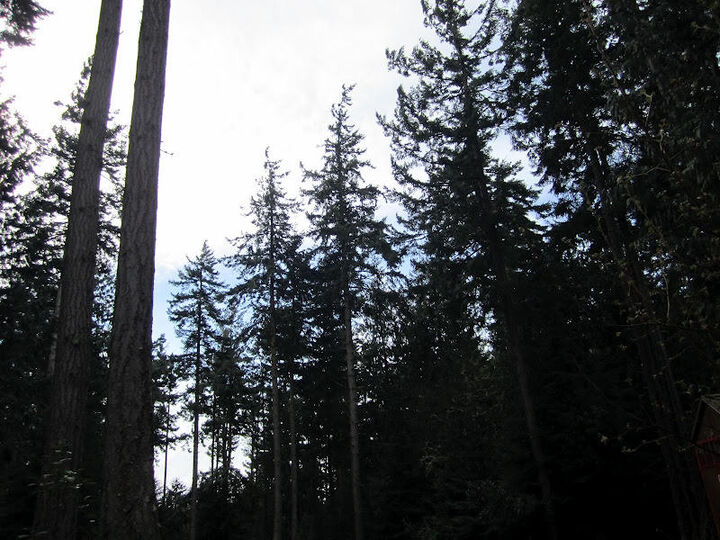 Property Photo:  0 Arabian Lane  WA 98368 