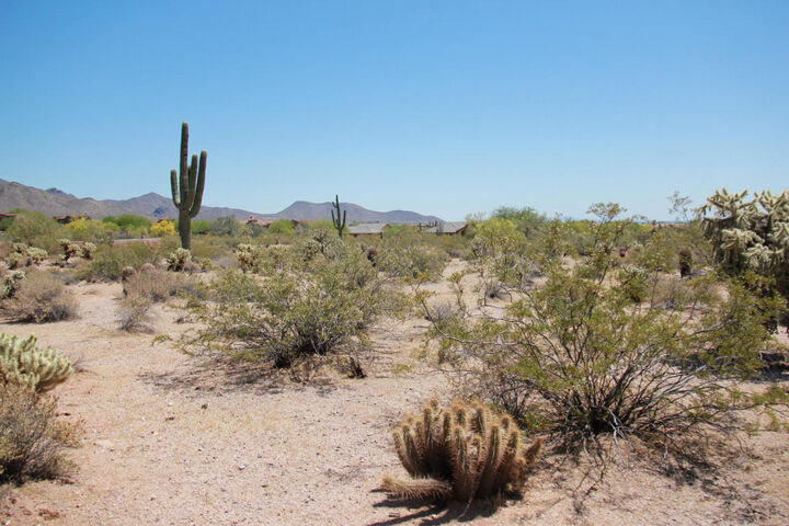 Property Photo:  9445 E Diamond Rim Drive 78  AZ 85255 