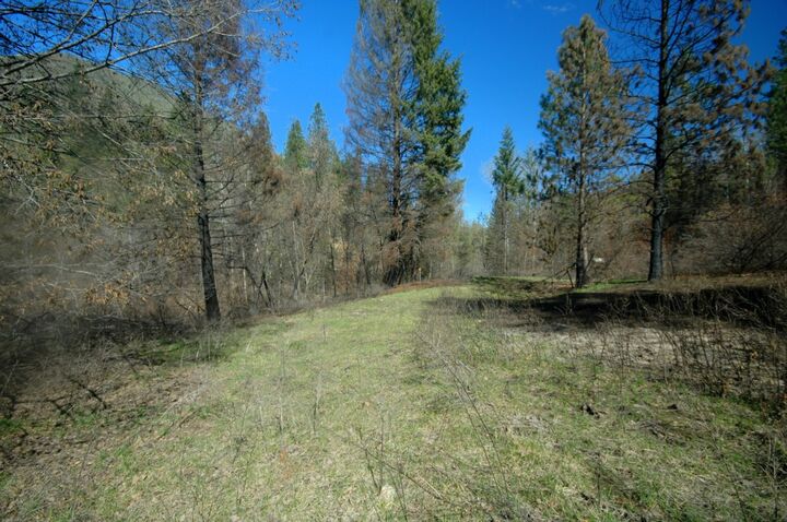 Property Photo:  0 Tbd Gold Creek Ranch Rd  WA 98814 