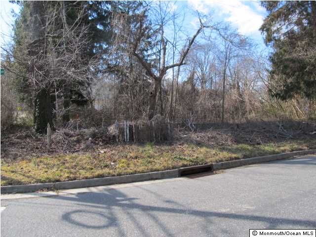 Property Photo:  0 Chestnut Street  NJ 07716 