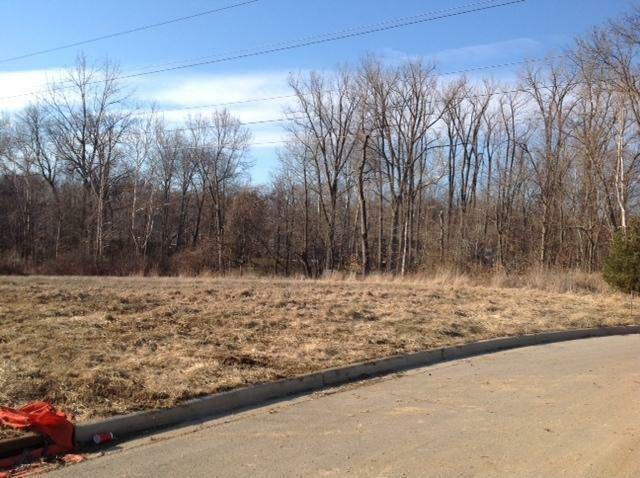 Property Photo:  7632 Whitepine Ridge Court Lot 104  OH 43068 