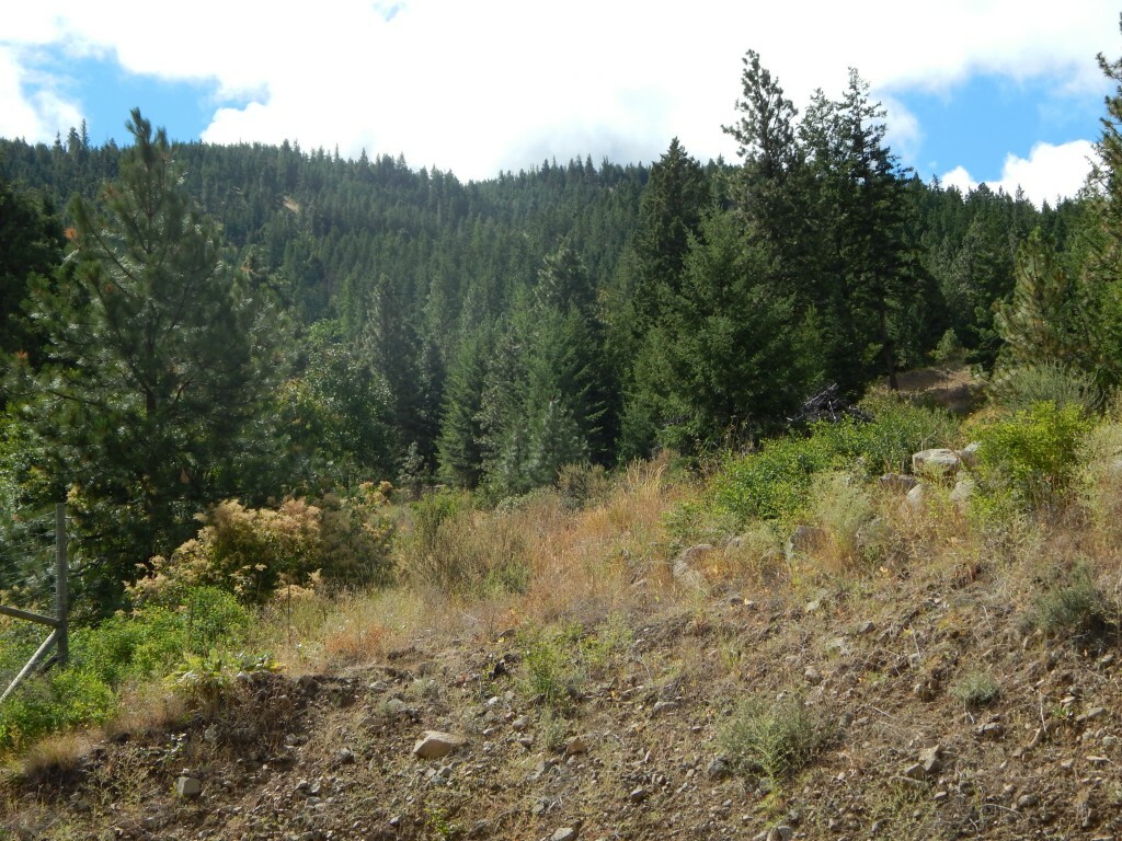 Property Photo: 0 Squilchuck Rd WA 98801