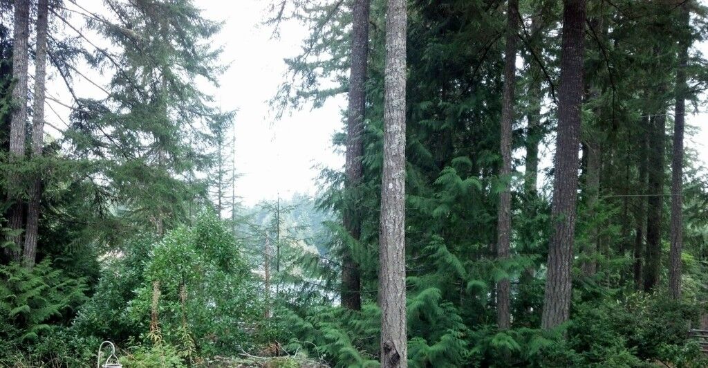 Property Photo: 311 NE Lake Drive WA 98588
