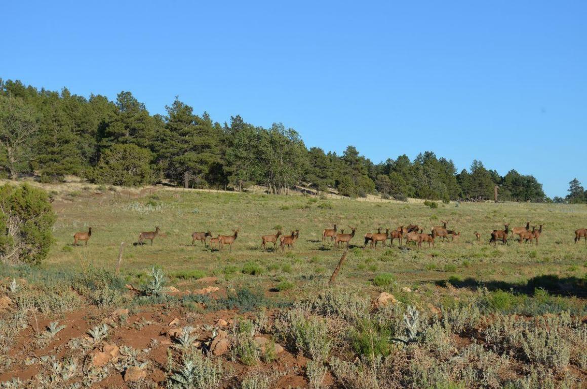 Property Photo:  6500 N Rain Valley Road  AZ 86004 