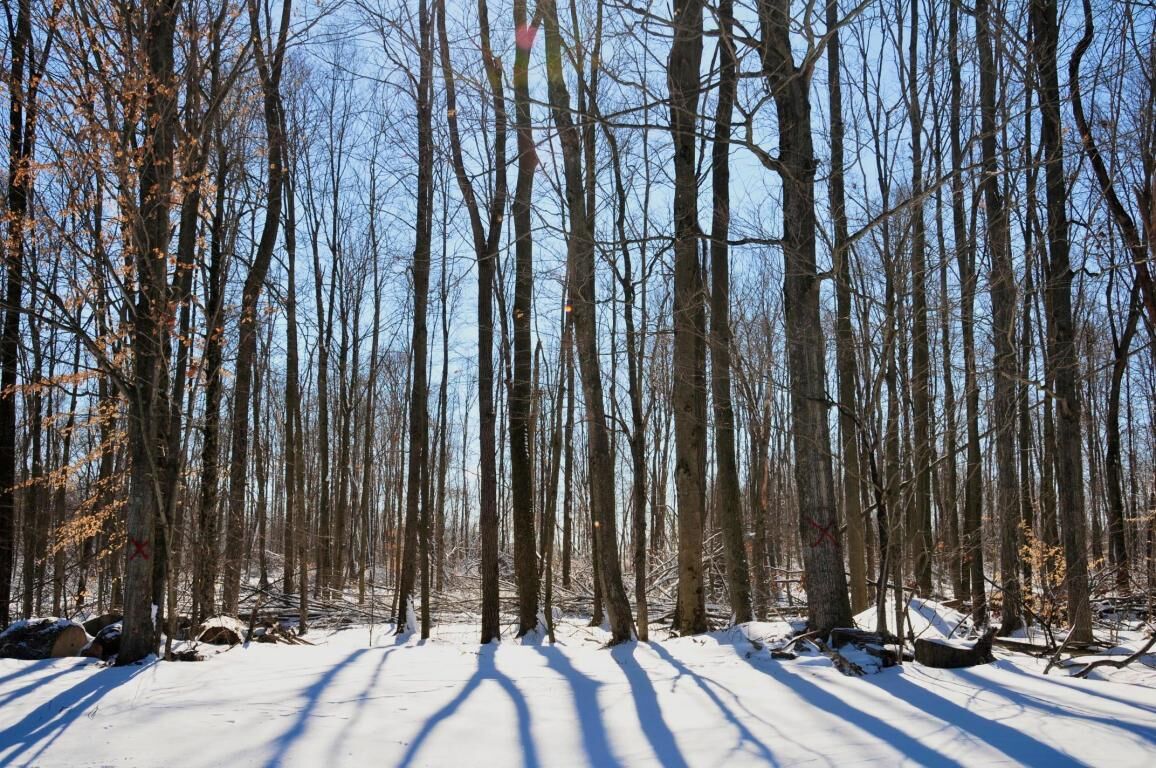 Property Photo: 0 Township Road 173 OH 43315