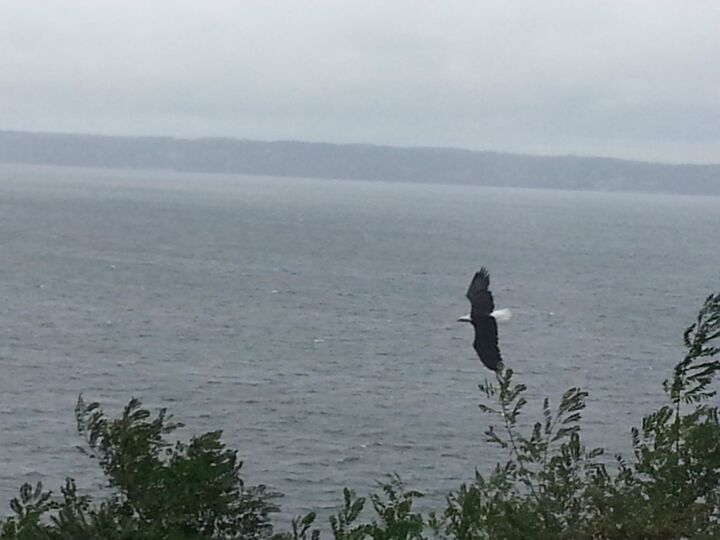 Property Photo: 7532 47th Ave NW WA 98271