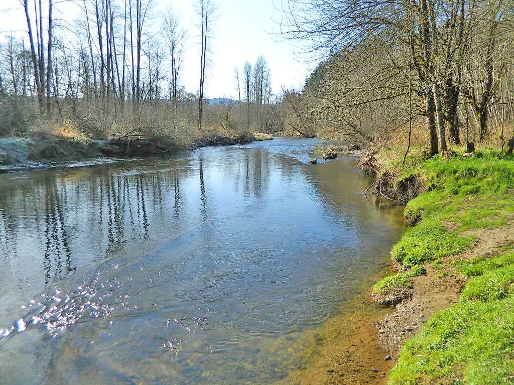 Property Photo:  16213  South Prairie Creek Road E  WA 98360 