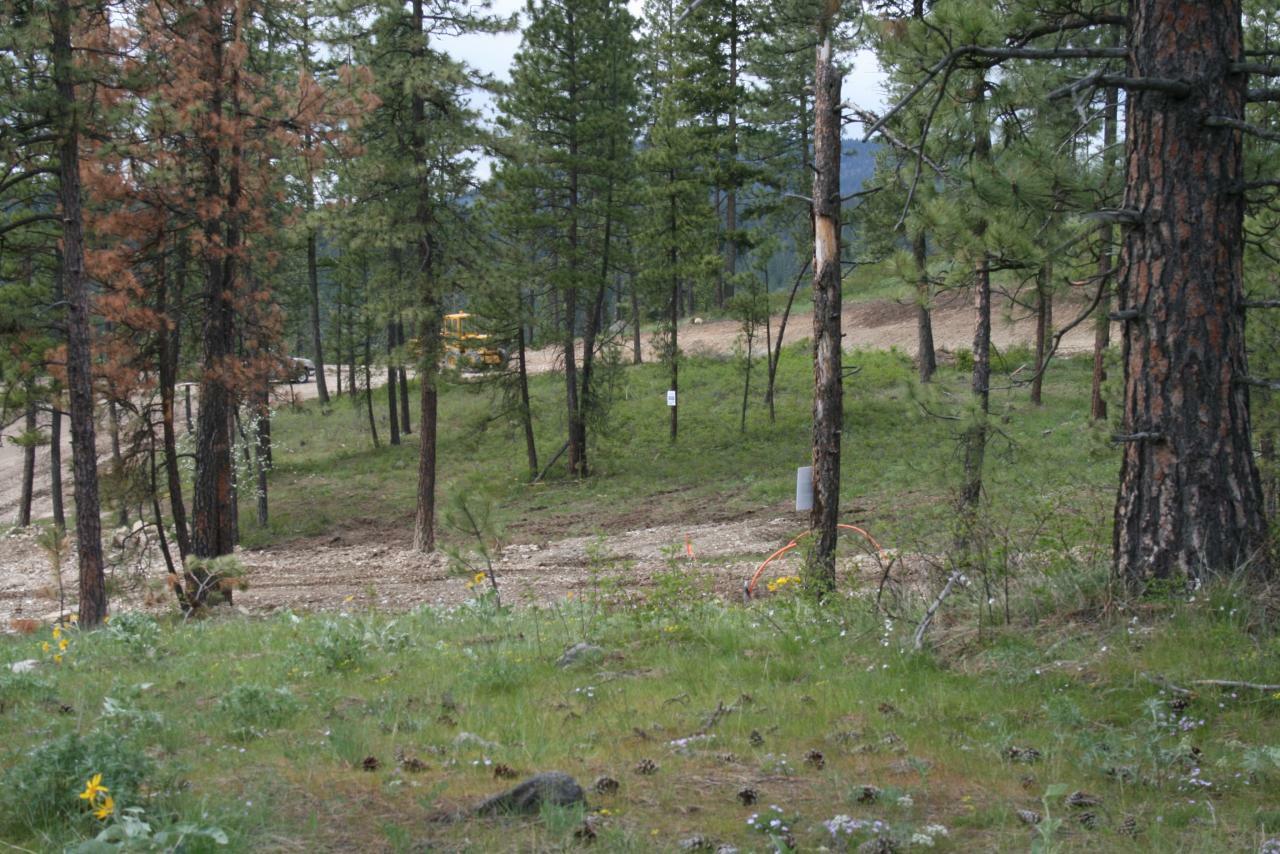 Property Photo:  Xxx Palmer (Lot 17) Loop  WA 99109 