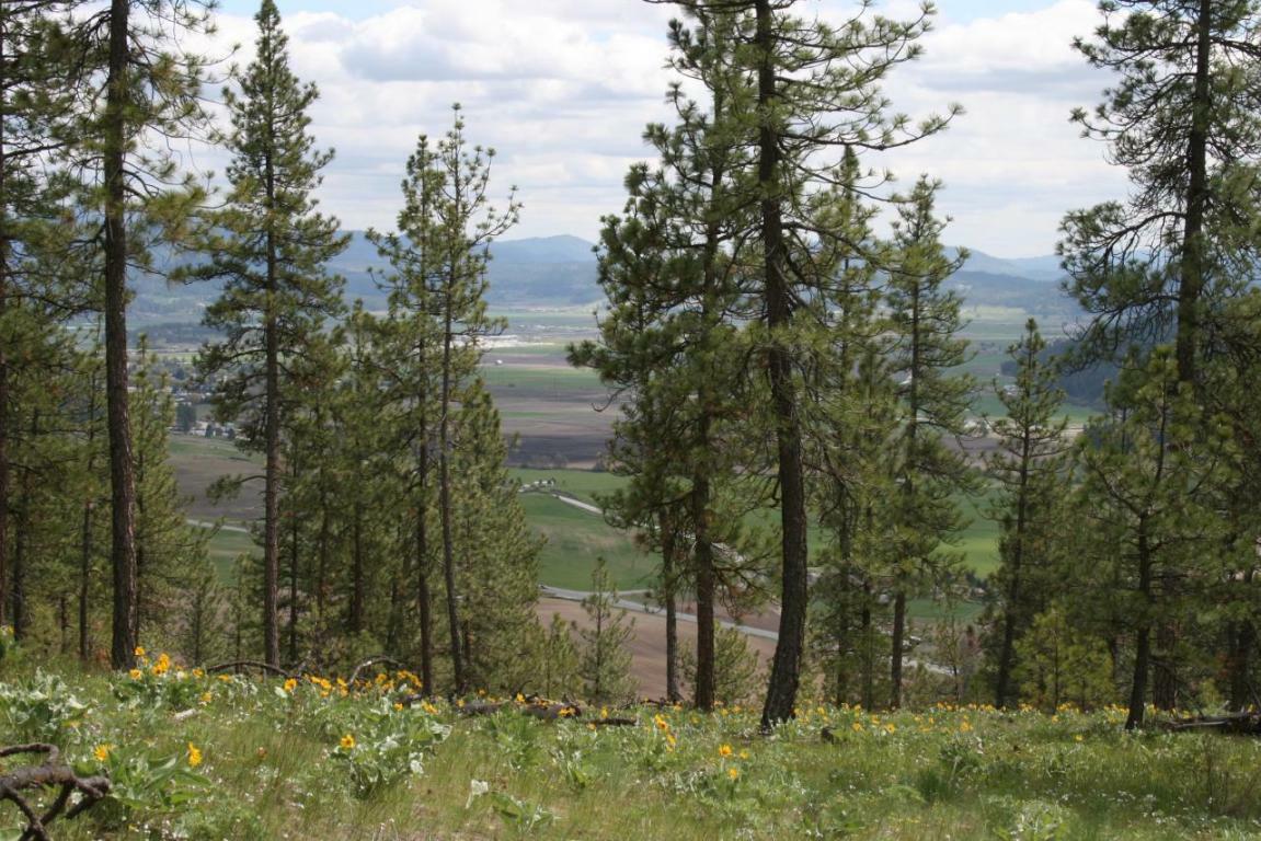 Property Photo:  Xxx Palmer (Lot 20) Loop  WA 99109 