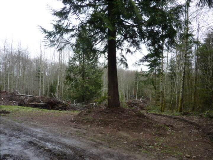 24 NE Plunkett Lane - Lot C  Poulsbo WA 98370 photo