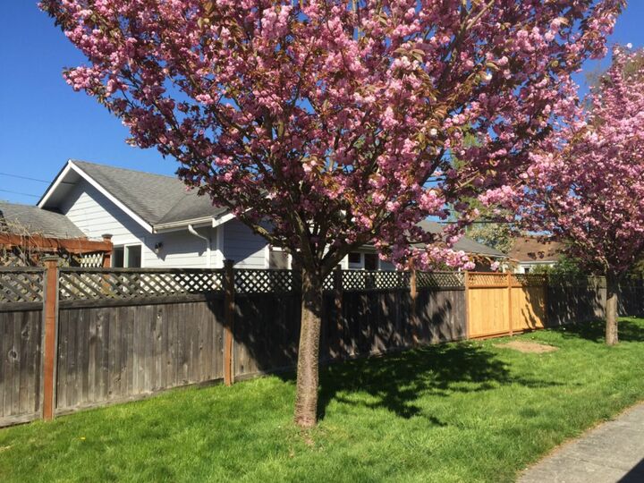 Property Photo:  1082 Blaine Ave  WA 98230 