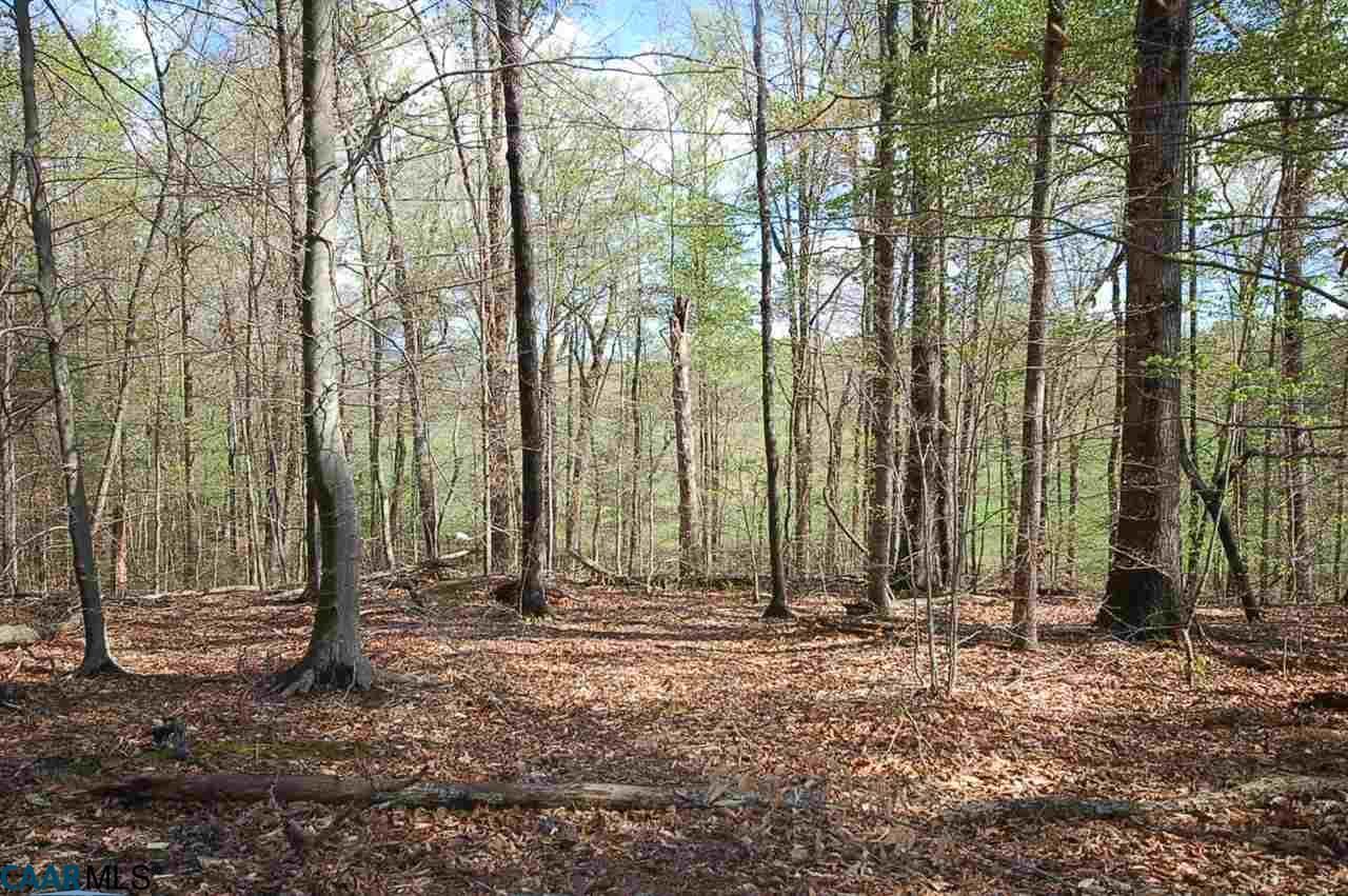 Property Photo:  Pea Ridge Rd Lot D  VA 22968 