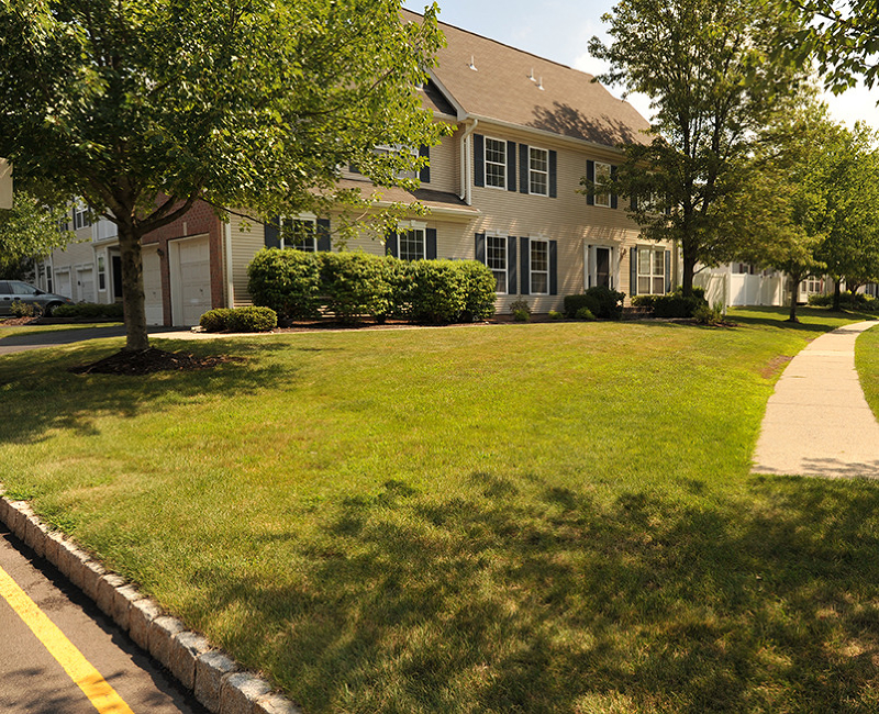 Property Photo: 334 Tammy Ln NJ 08807