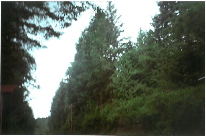 Property Photo: 1 Nelson Road SE WA 98359