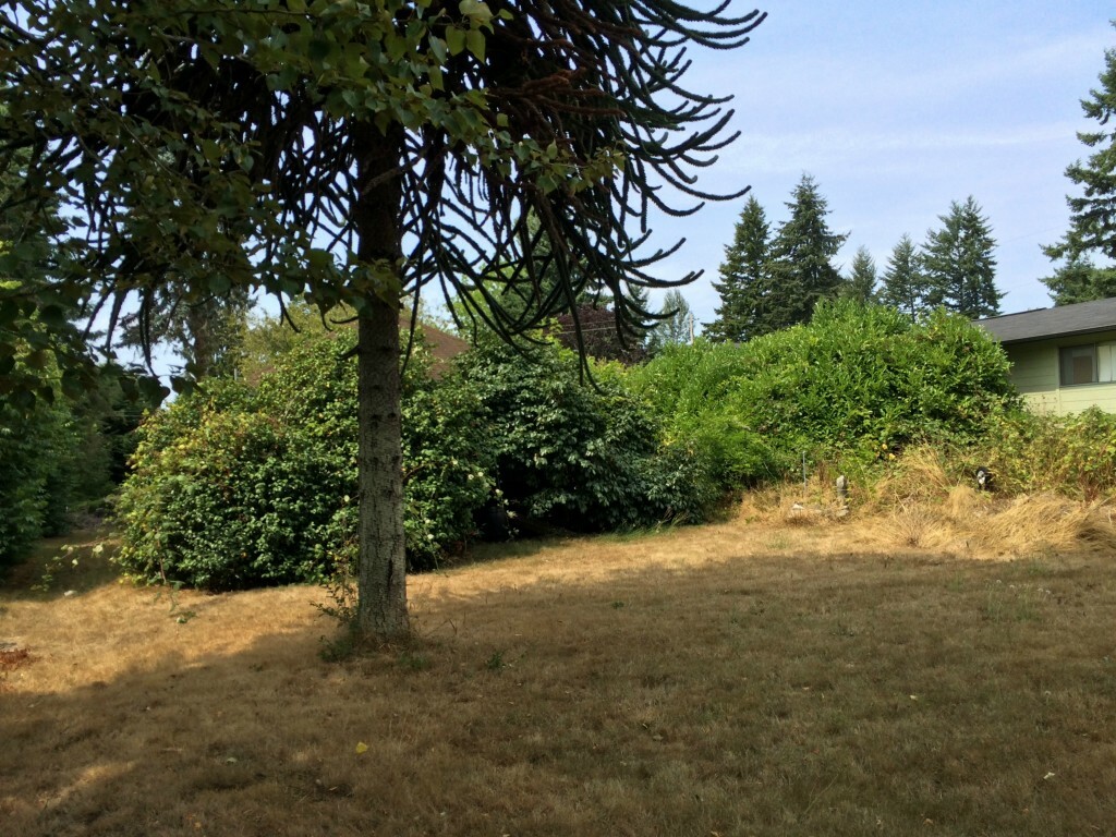 Property Photo:  256 Grow Ave NW  WA 98110 