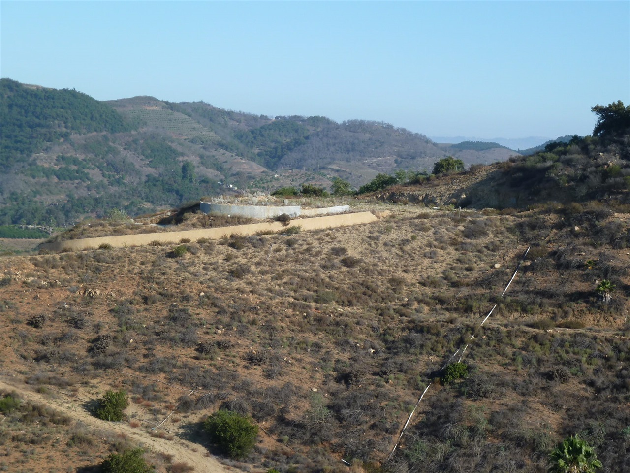 Property Photo:  13316 Ricks Ranch Road 13316  CA 92082 