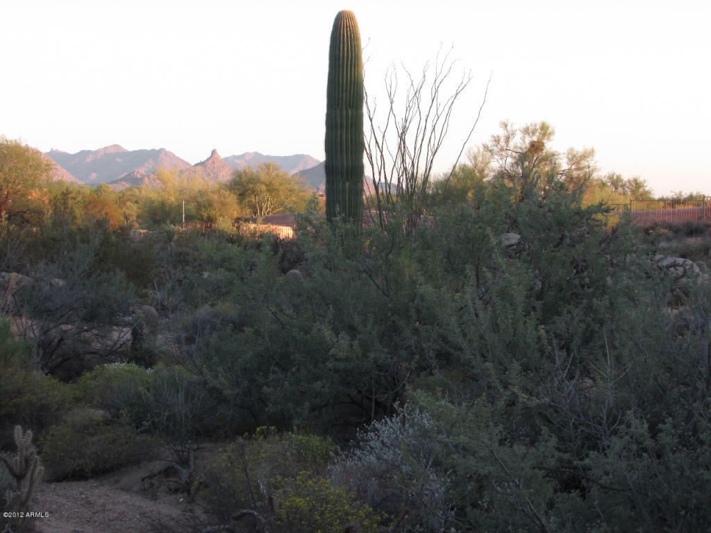 Property Photo:  7974 E Soaring Eagle Way  AZ 85266 