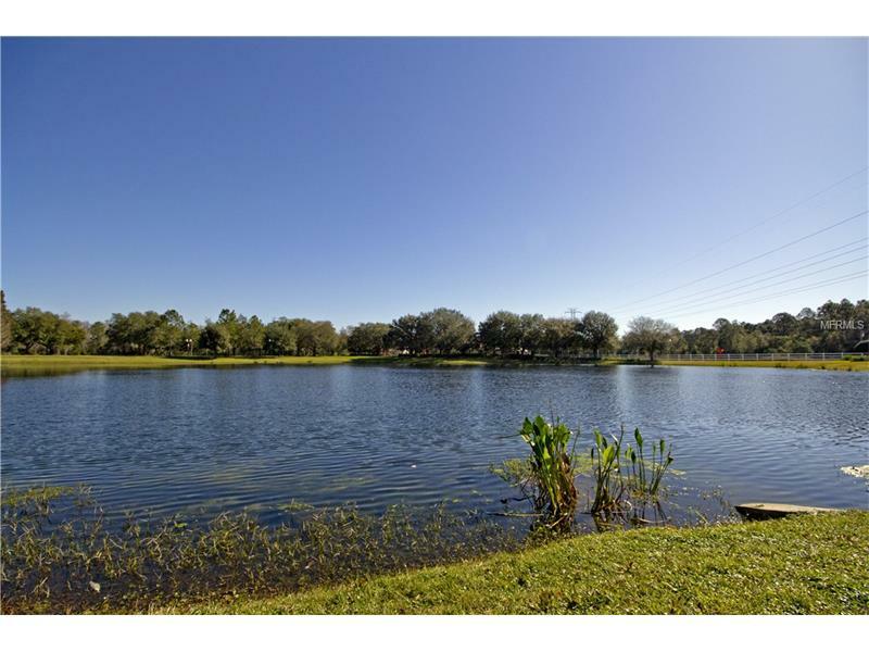 Property Photo:  14116 Avenue Of The Groves  FL 34787 