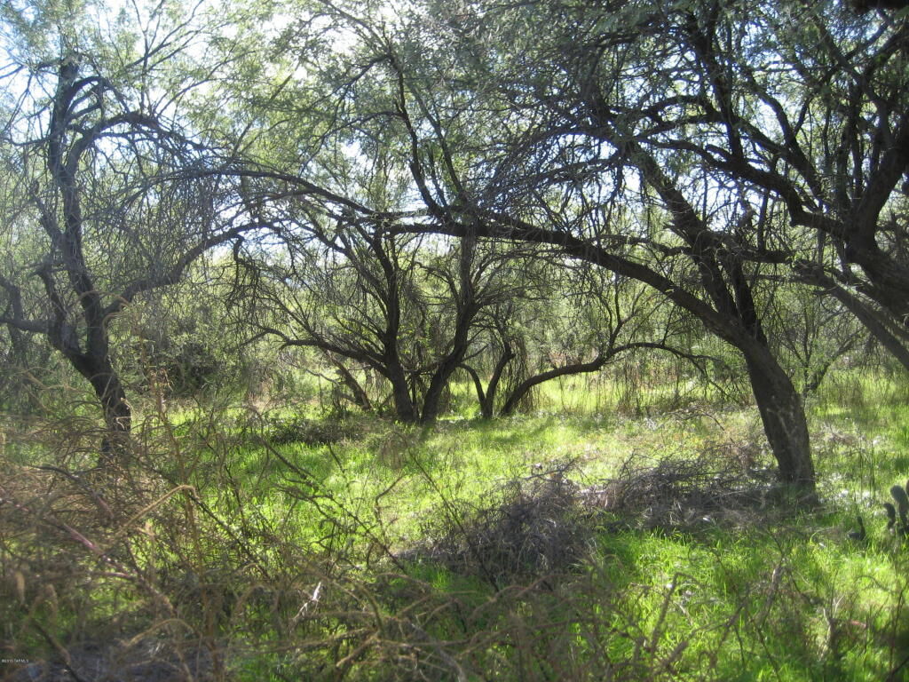 Property Photo: 11141 E Tanque Verde Road 4 AZ 85749