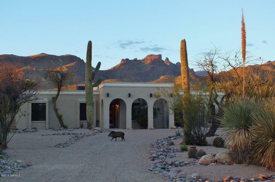 Property Photo:  9035 E Saddleback Drive  AZ 85749 