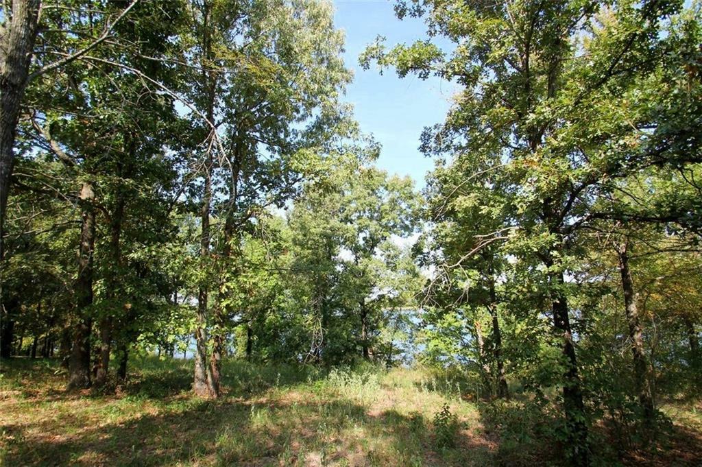 Property Photo:  Lot 2 Private Road 5292  TX 75497 